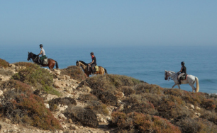 5 DAYS TREK</br> Berber horse riders